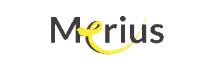 Merius Hypotheken hypotheekrente Merius Hypotheken logo - Huidige hypotheekrente