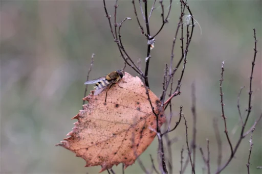 Financiele afwikkeling na een overlijden